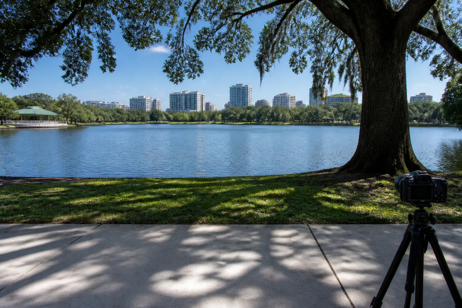 A camera on a city-park sidewalk aimed across a lake at noon.